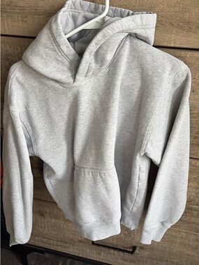 Aritzia sweetfleece perfect hoodie